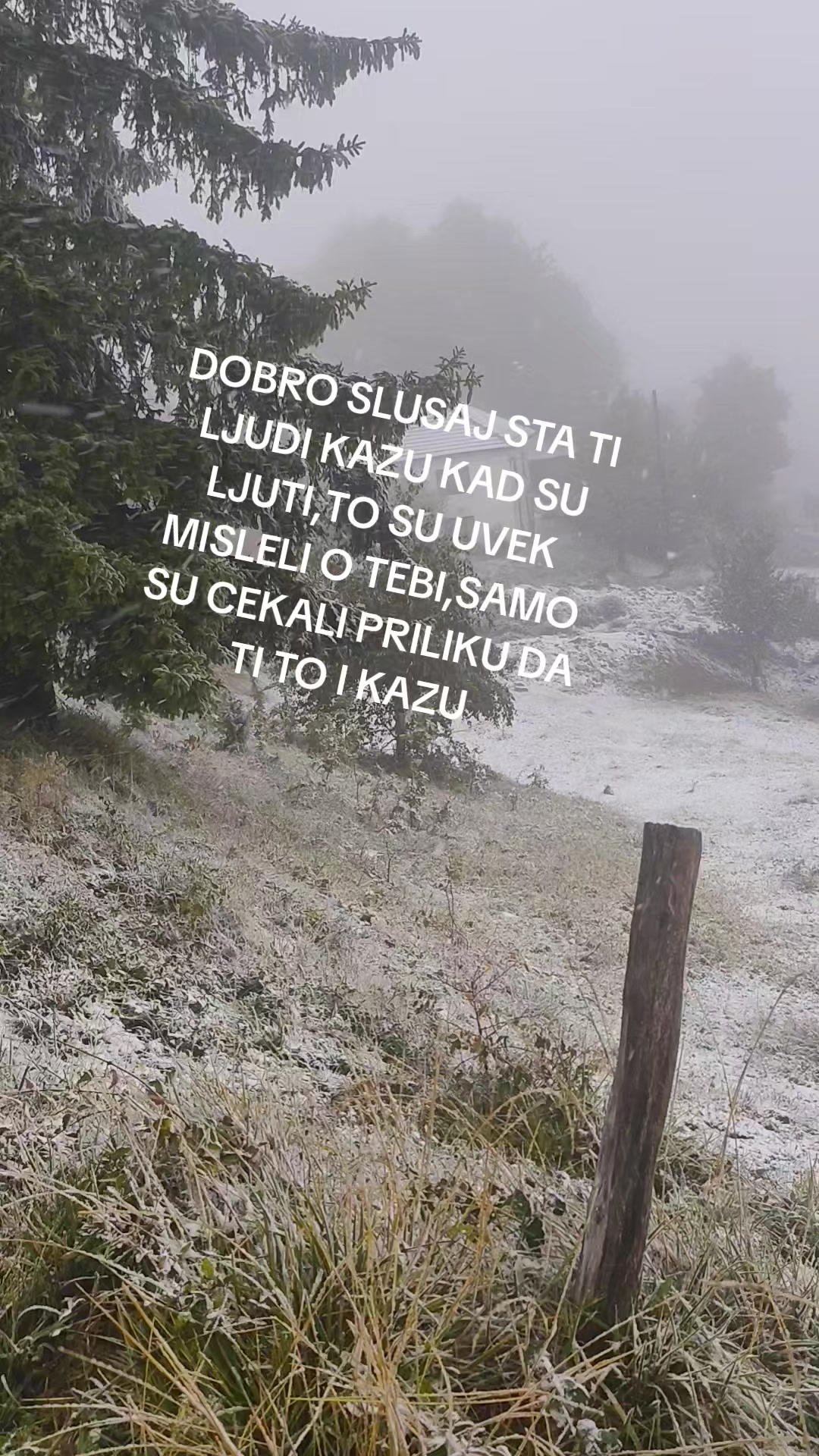@M_U_V_A_O_N_I_C_A