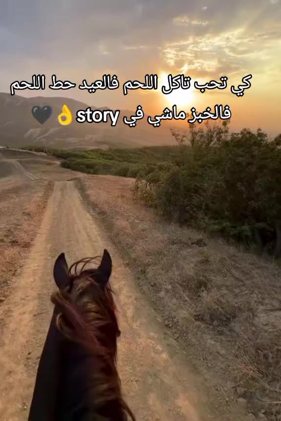 @🤠يوميات🙋السائق👷 الجزائري🇩?