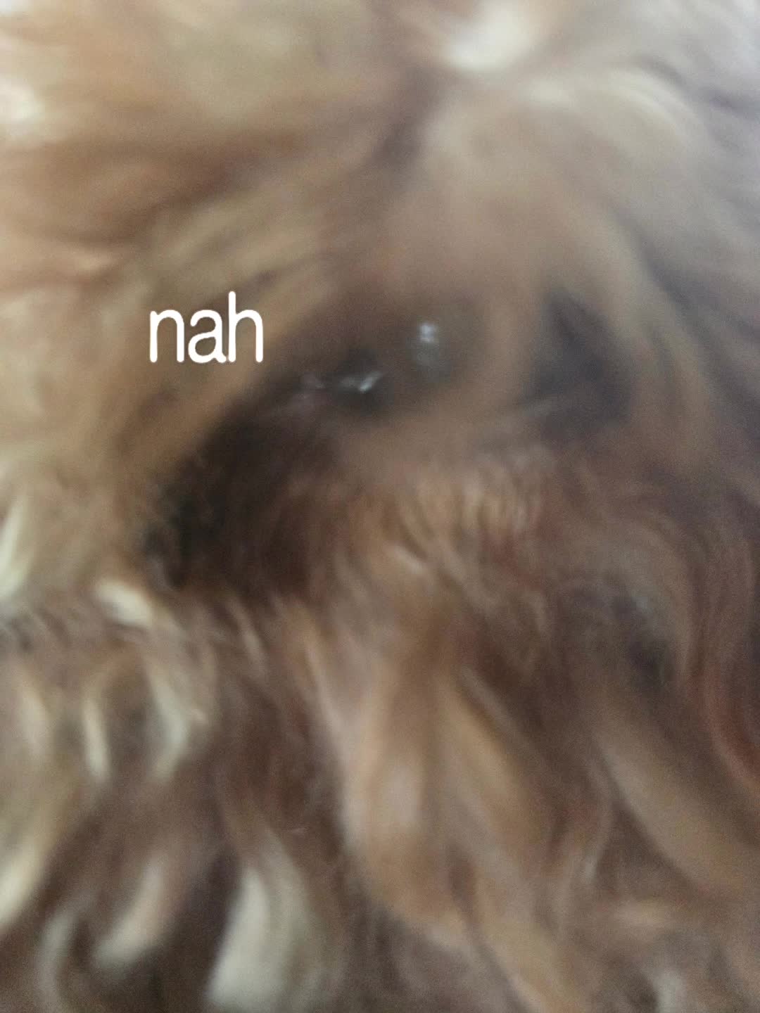 @peter