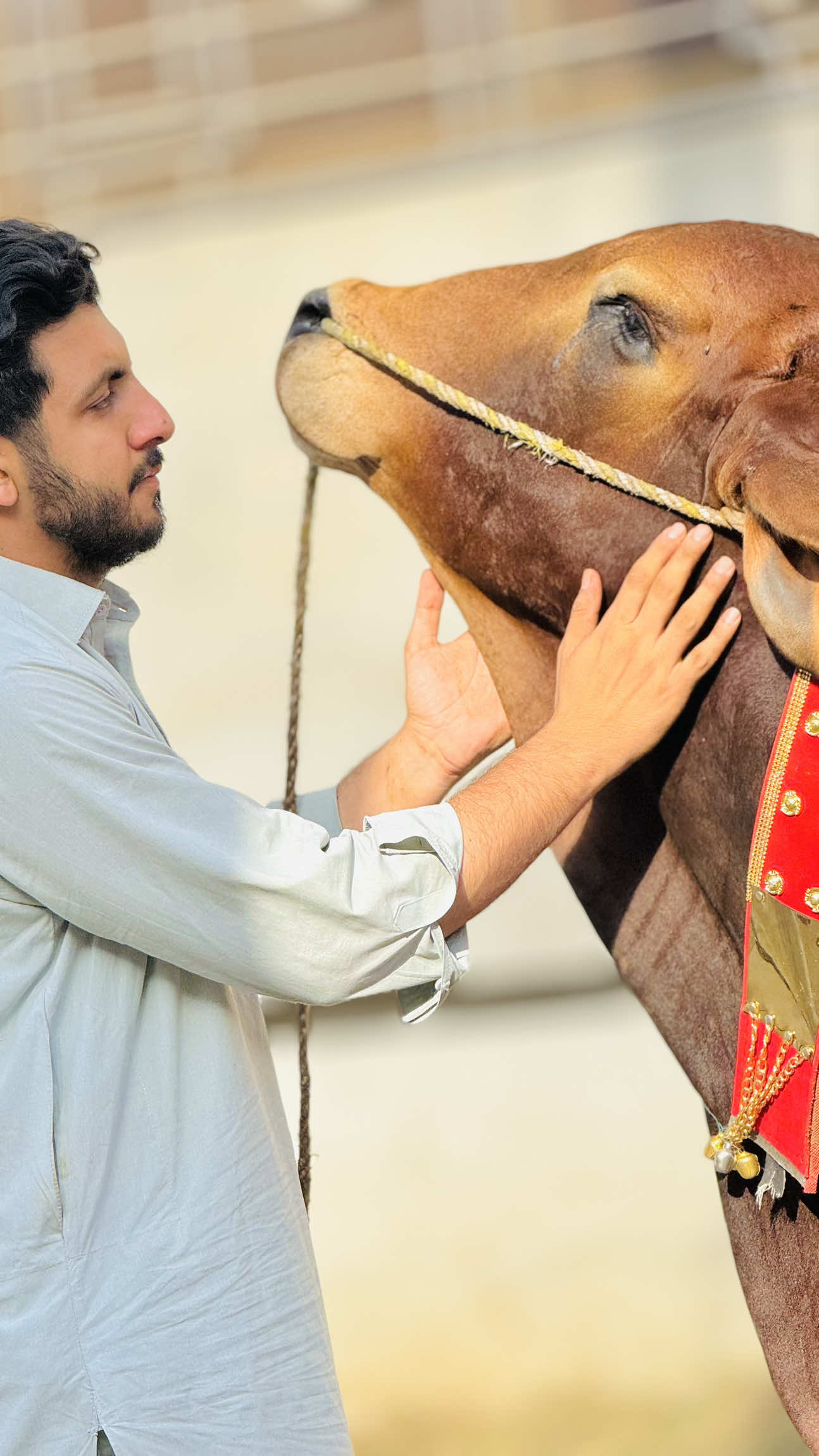 @HK_MOHMAND ♛