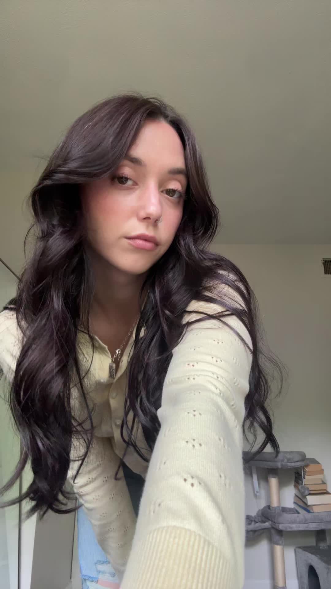 @briconatorfries
