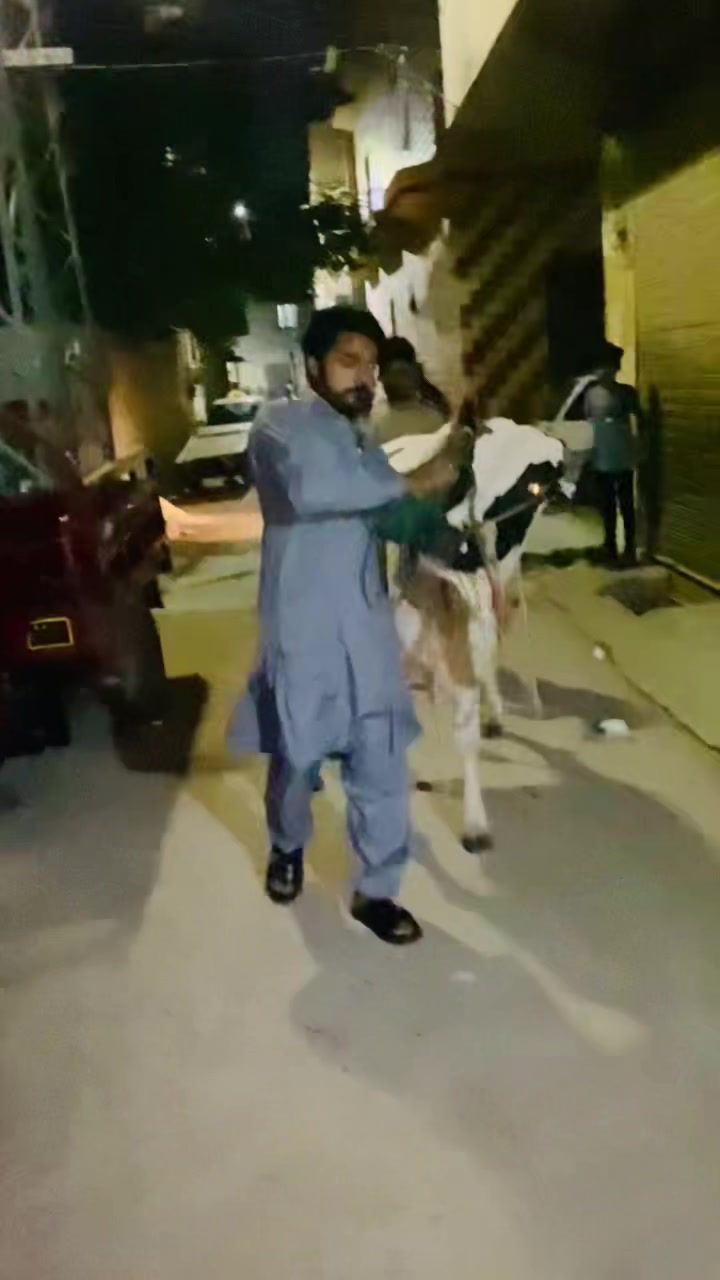 @پیر جوگی اُستاد