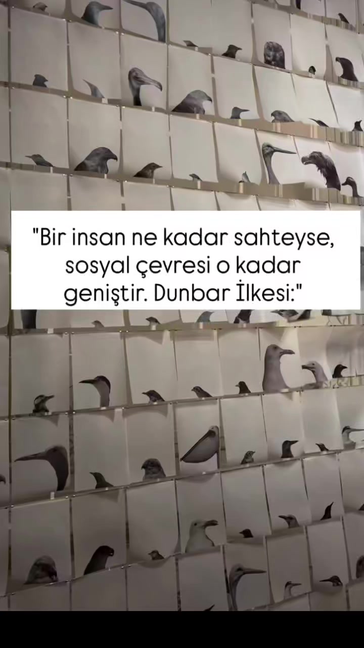 @mervan ay