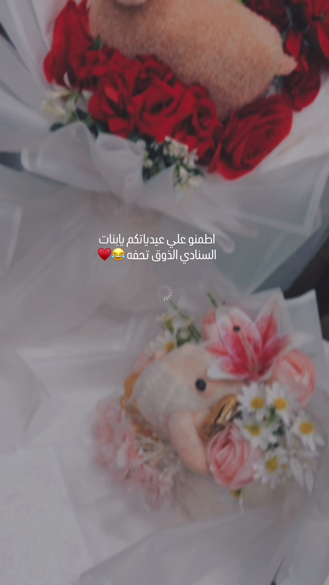 @esraa el3absy gallery