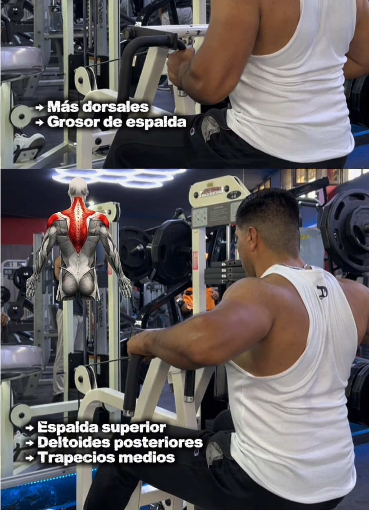 @PERSONAL&ensp;TRAINER