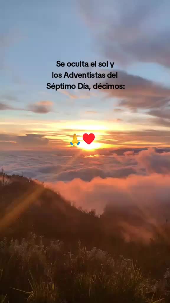 @Sofia Berduo