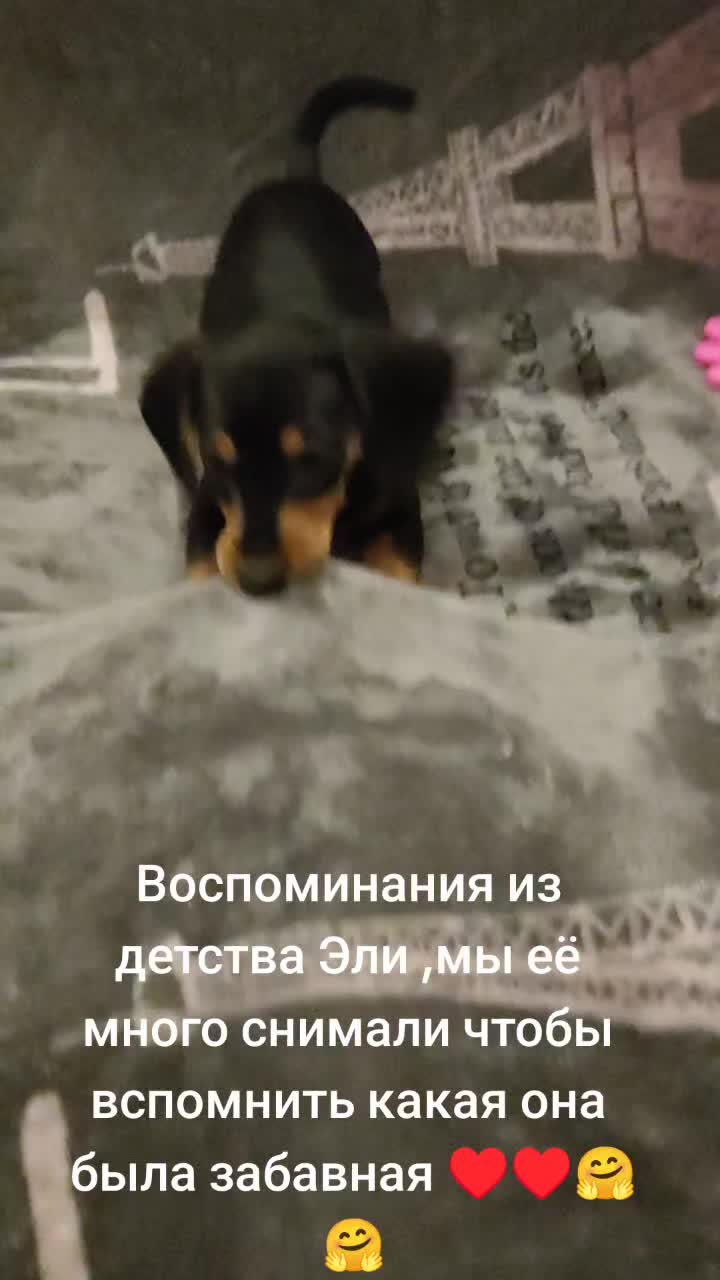 @Ольга