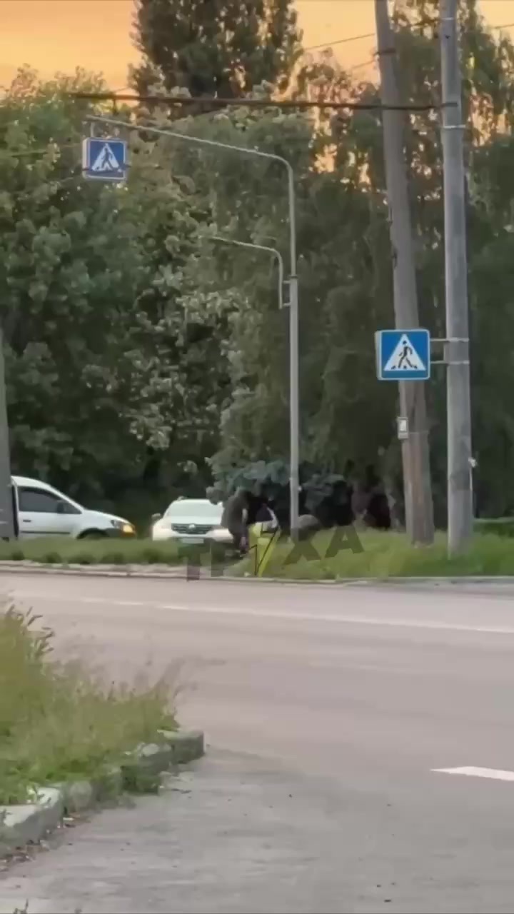 @Усатый - полосатый