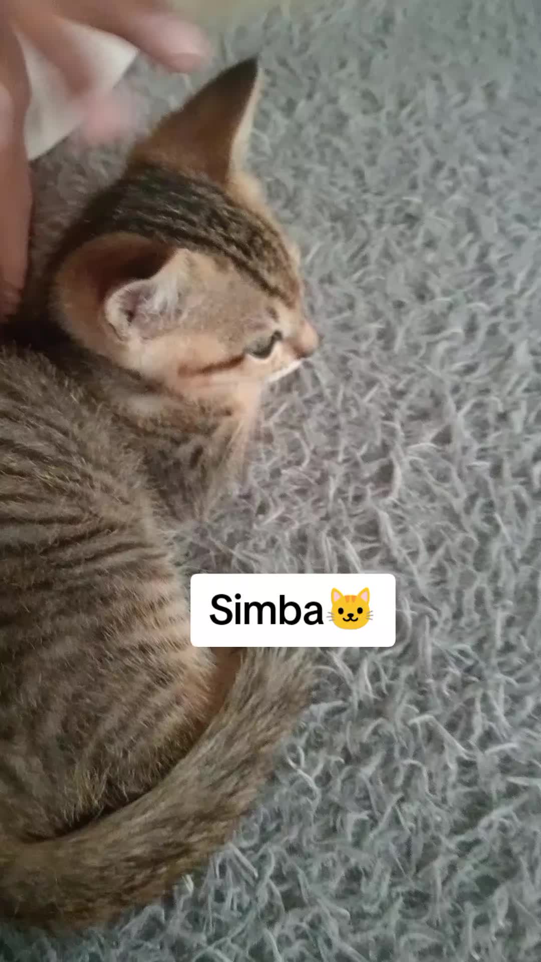 @Rizqi