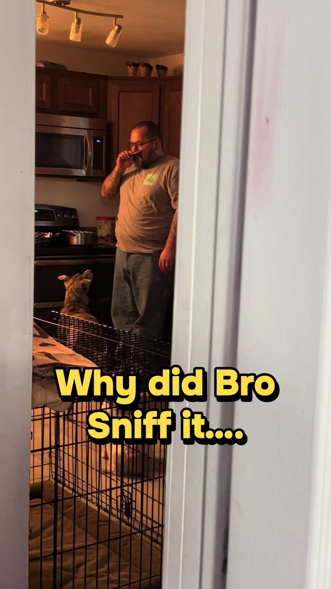 @AntZilla