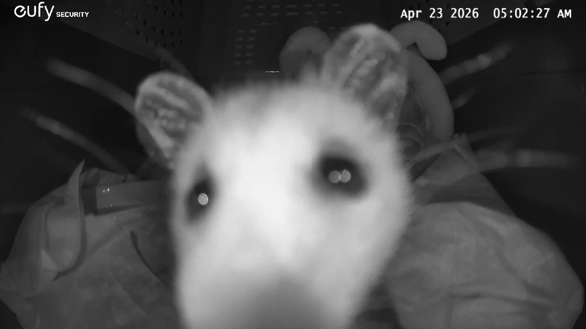 @OPOSSUMDAWGMOM