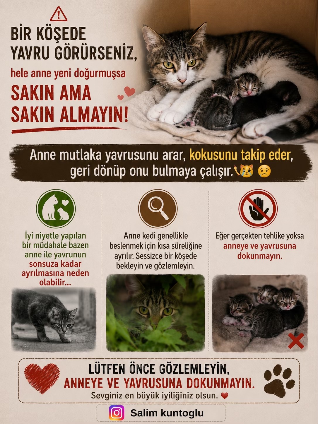 @Salim Kuntoğlu