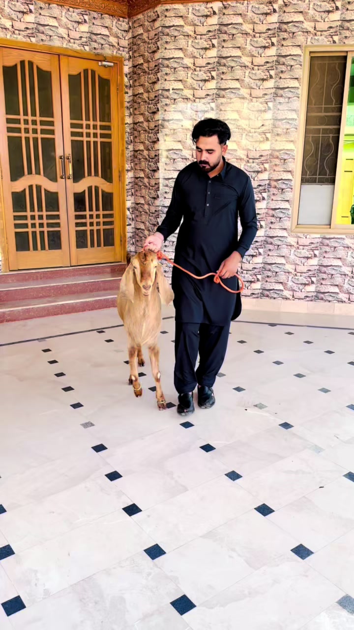 @ch&ensp;idrees&ensp;&ensp;جٹ❤️❤️