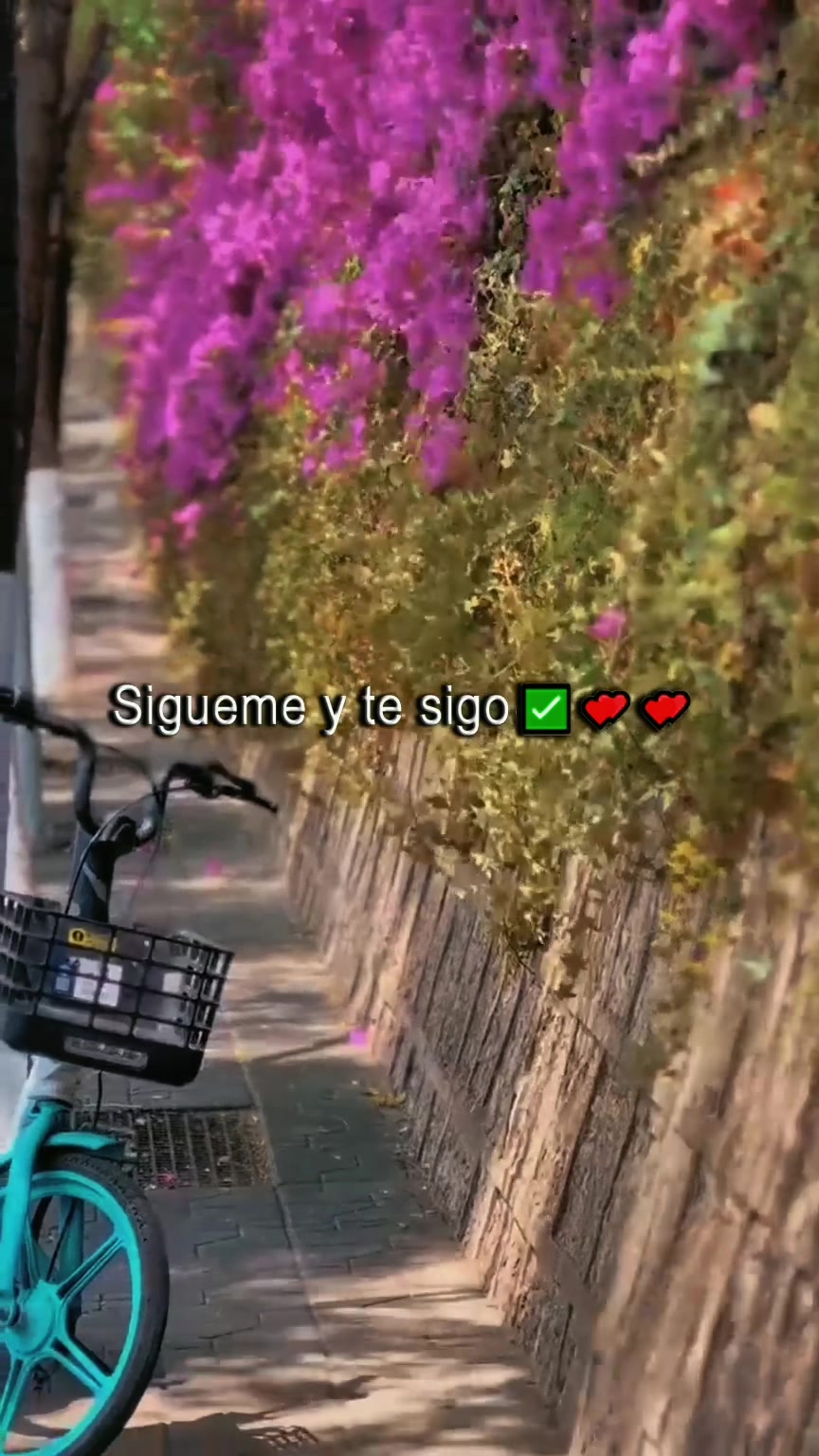 @ihis3883