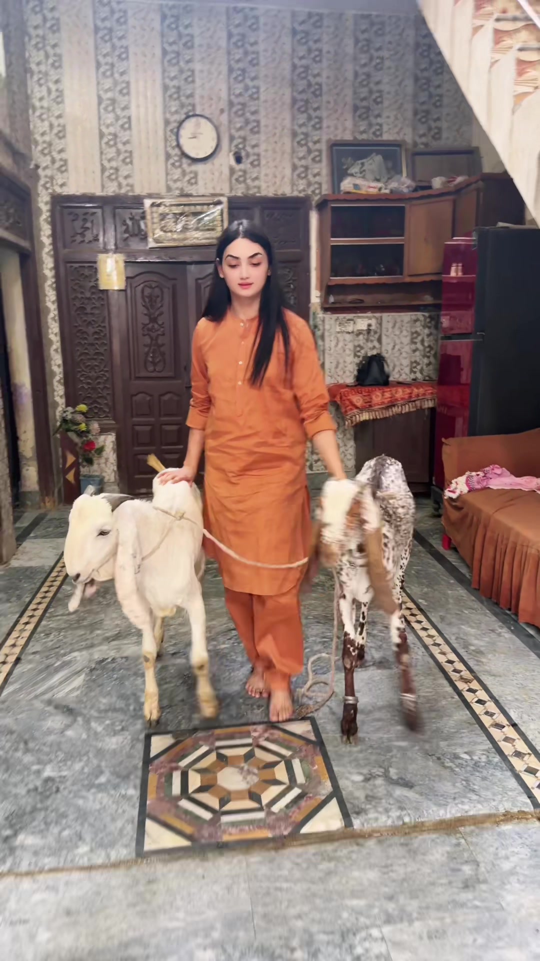 @🧚&zwj;♀️Shiekh Haniya Golden🧚&zwj;♀️