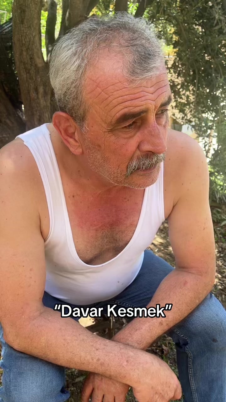 @TK