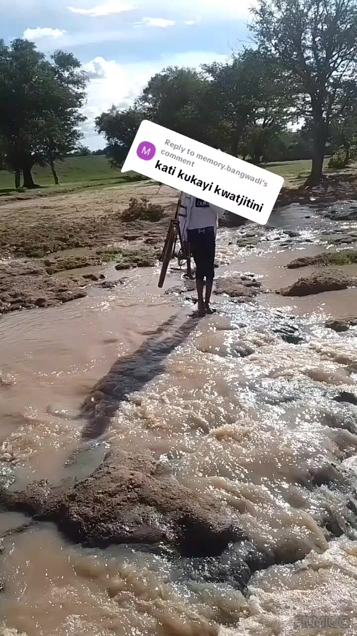 @Mamesto🇿🇼 Bhebhe🇧🇼 jama🫂