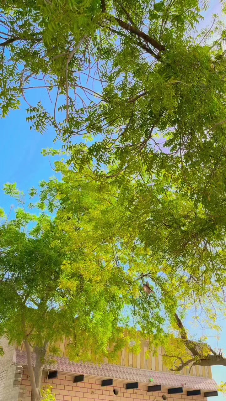@𝐆𝐇𝐔𝐋𝐀𝐌....𝐒𝐇𝐀𝐁𝐄𝐄𝐑