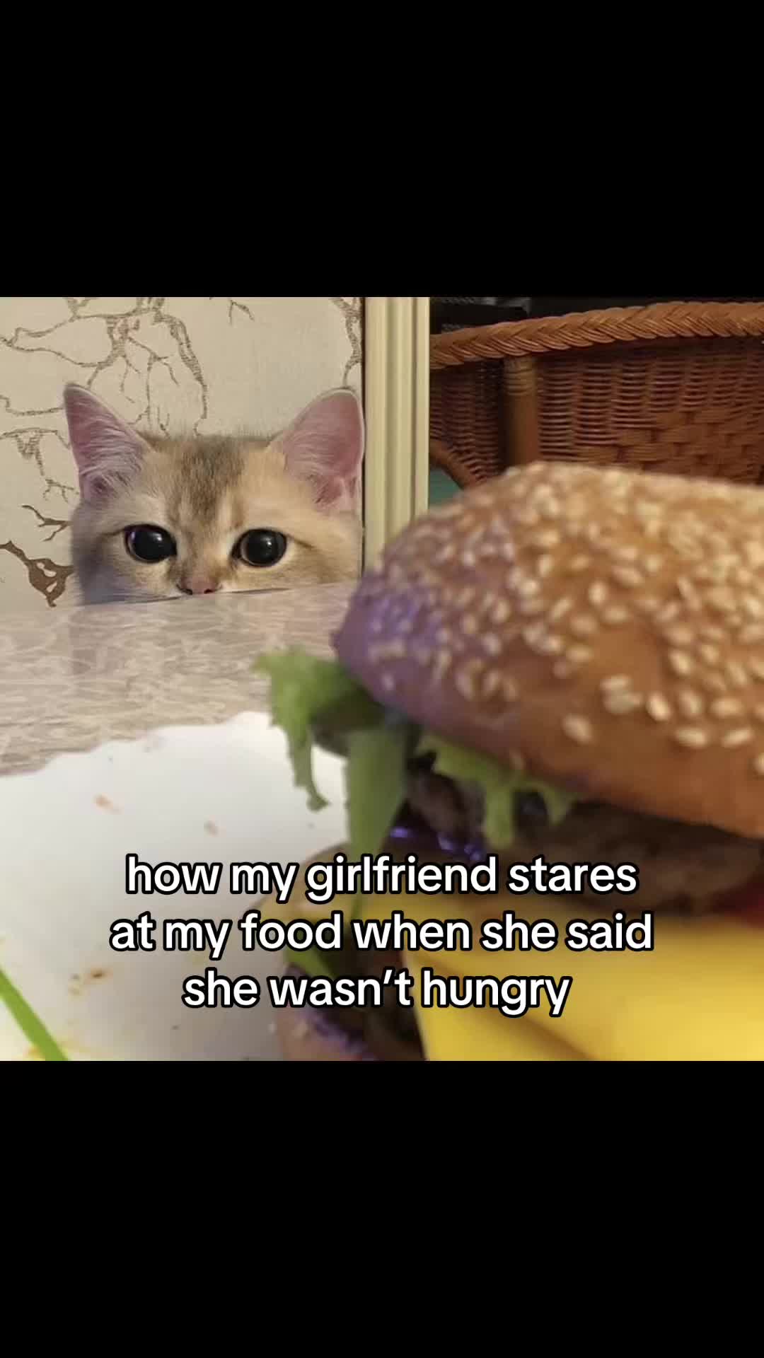 @meowconcept