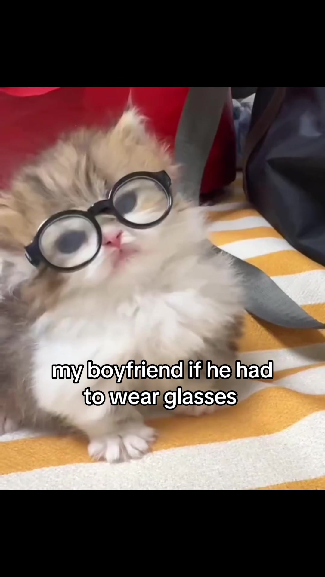 @meowconcept