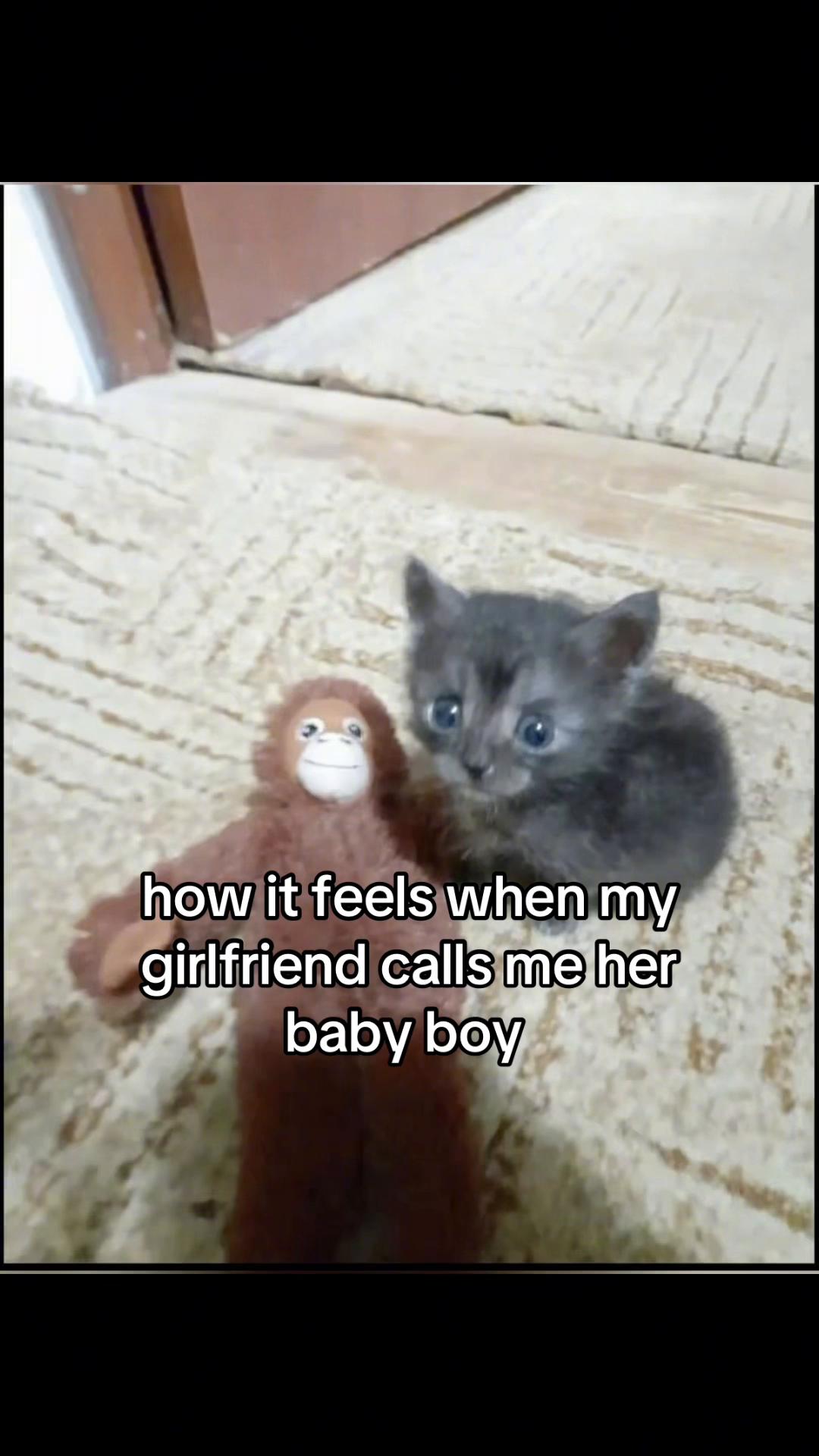 @meowconcept
