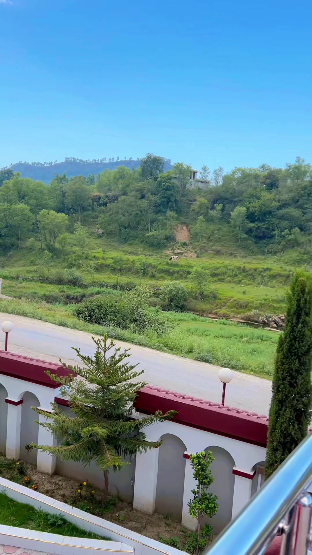 @Insha Rani