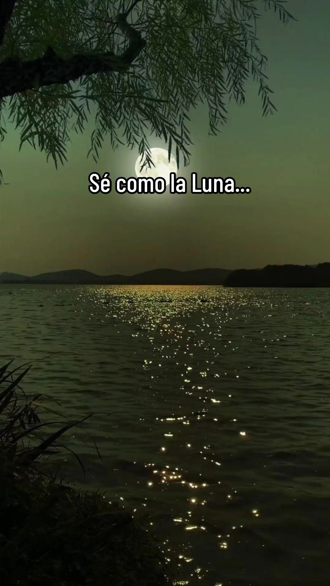 @Estela Silva
