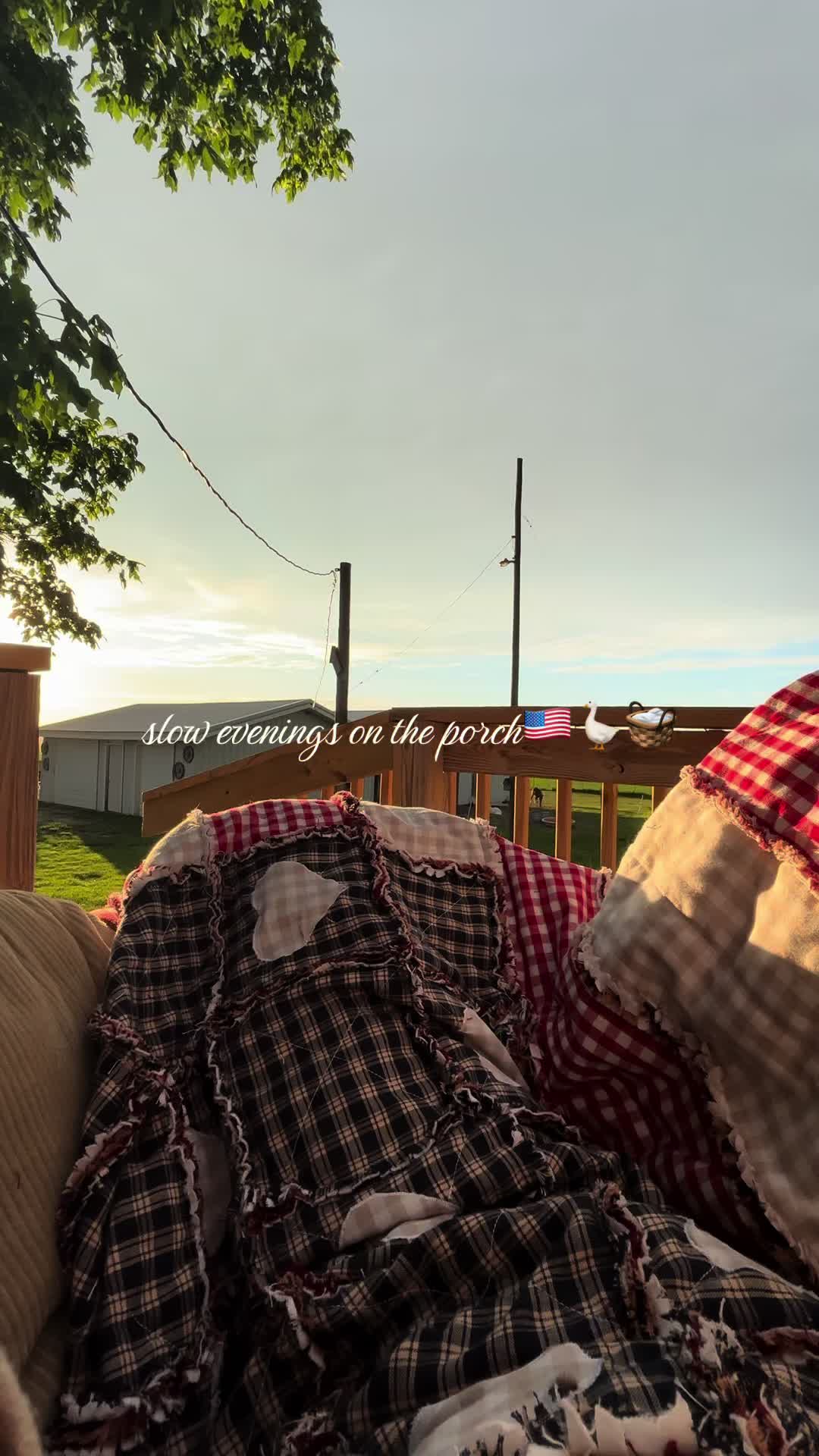 @LC🇺🇸🪿🧺