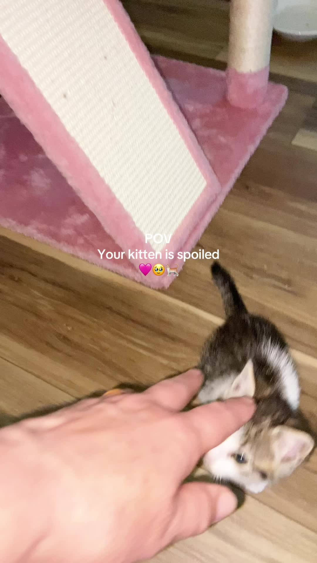 @Meg