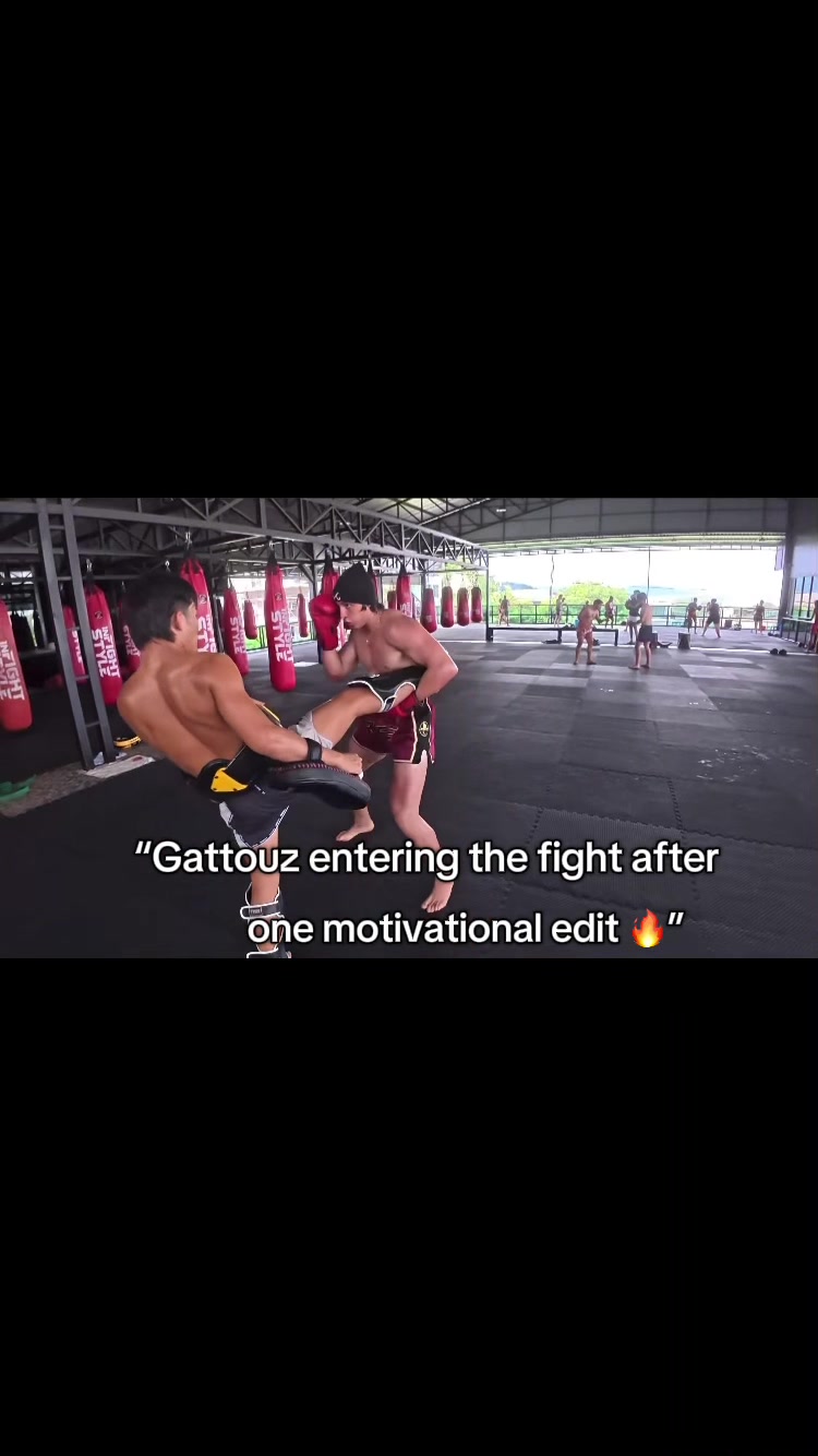 @gattouzfanss