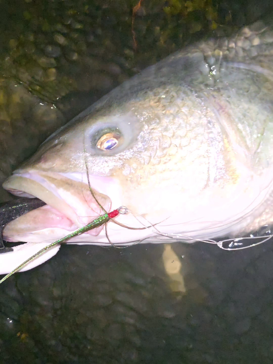 @the360angler