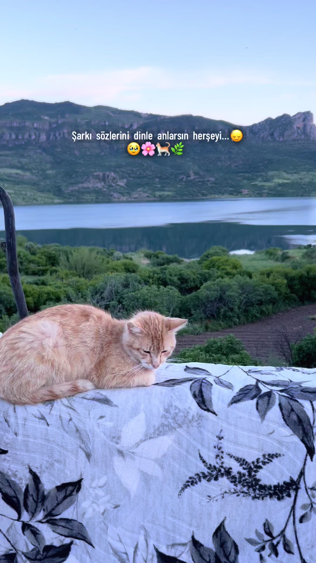 @🍀Welate_draxso_02🍀