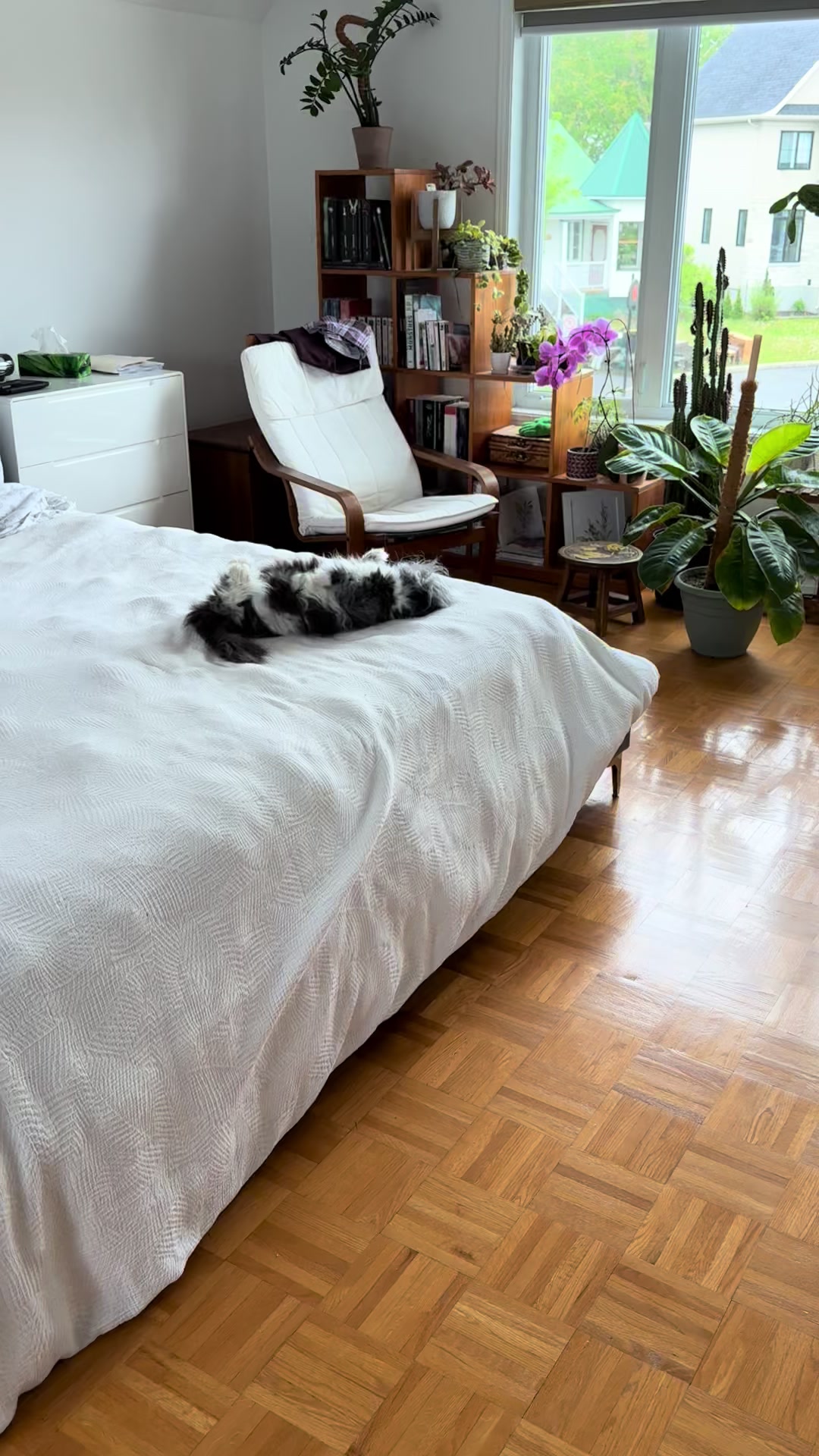 @atchoumthecat