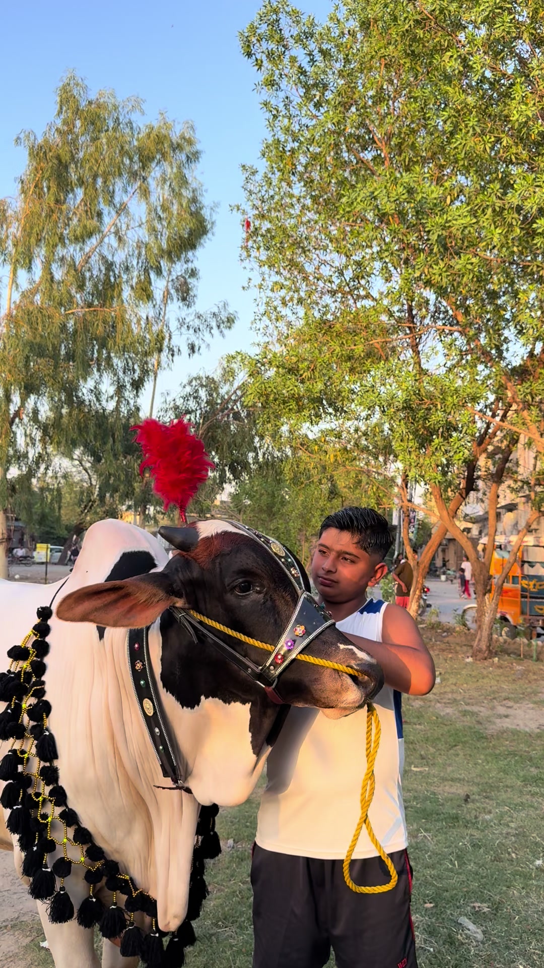 @abubakargujjar0381