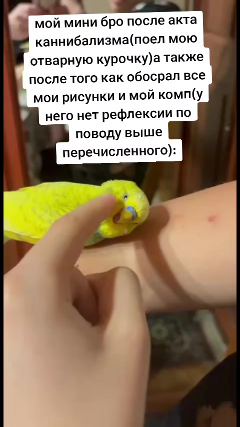 @hates_peach