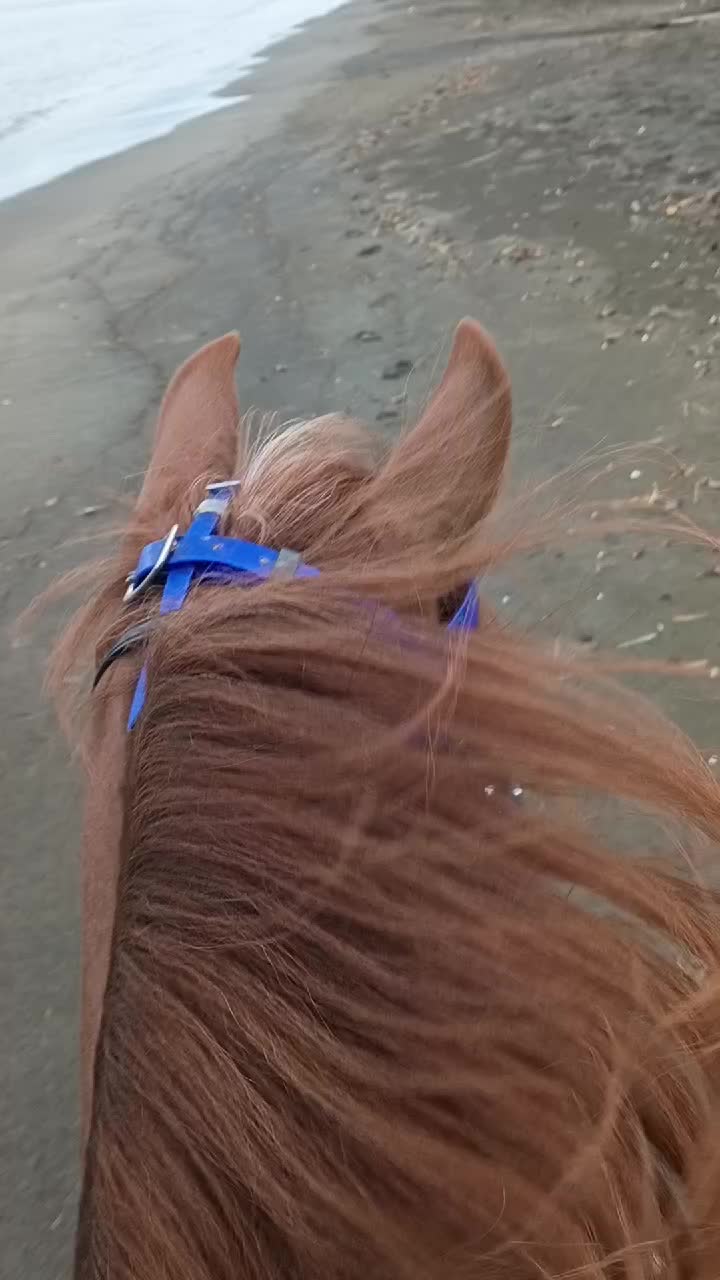 @Hacienda Los Queridos
