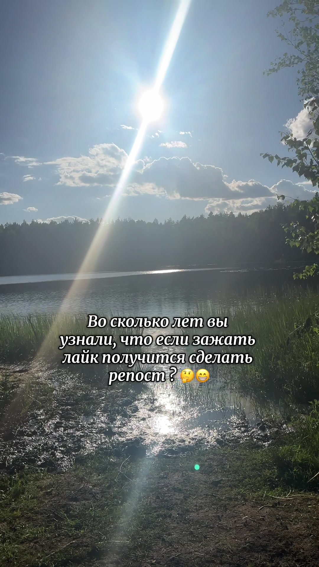 @🌸VeRoNiKa🌸