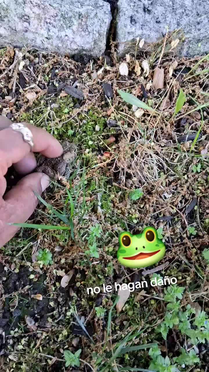@principejuan