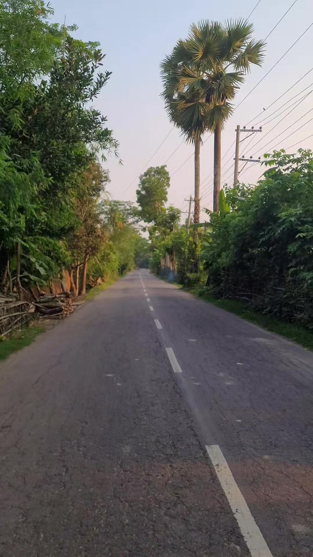 @Close to Nature. 🇧🇩