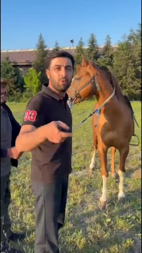 @Cefer_Qarabağlı