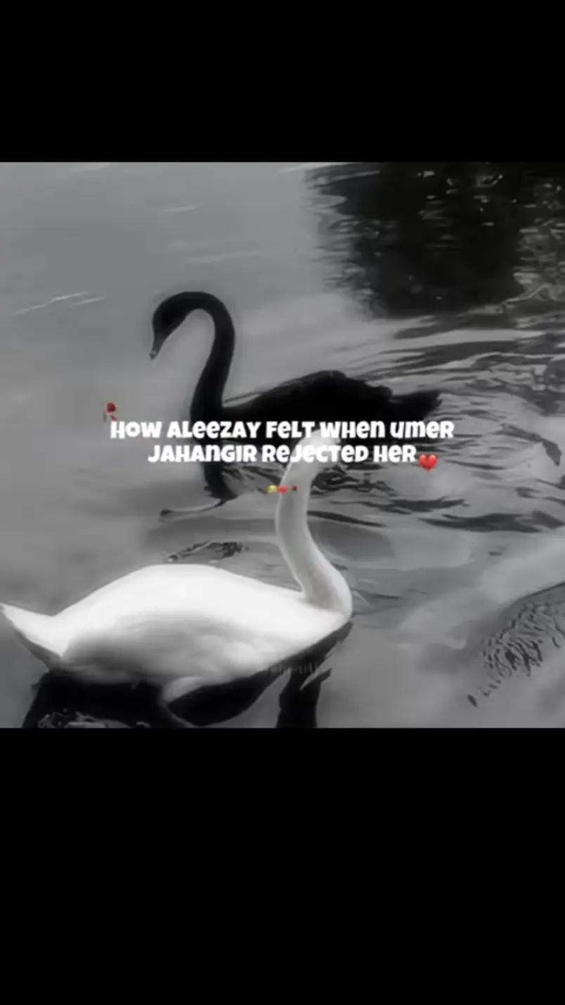 @ᥫ᭡፝֟፝֟𝐌𝐀𝐇𝐍𝐎𝐎𝐑🦢📚🌷