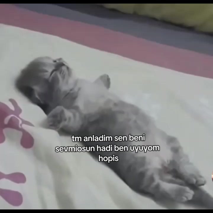 @axraa_1144