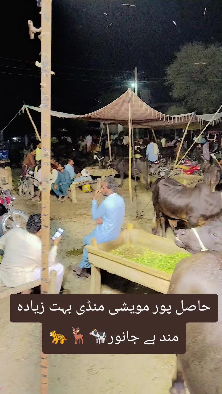 @khazer hayat88