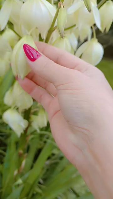 @♑🌺 Dan_ulduzu🌺♑