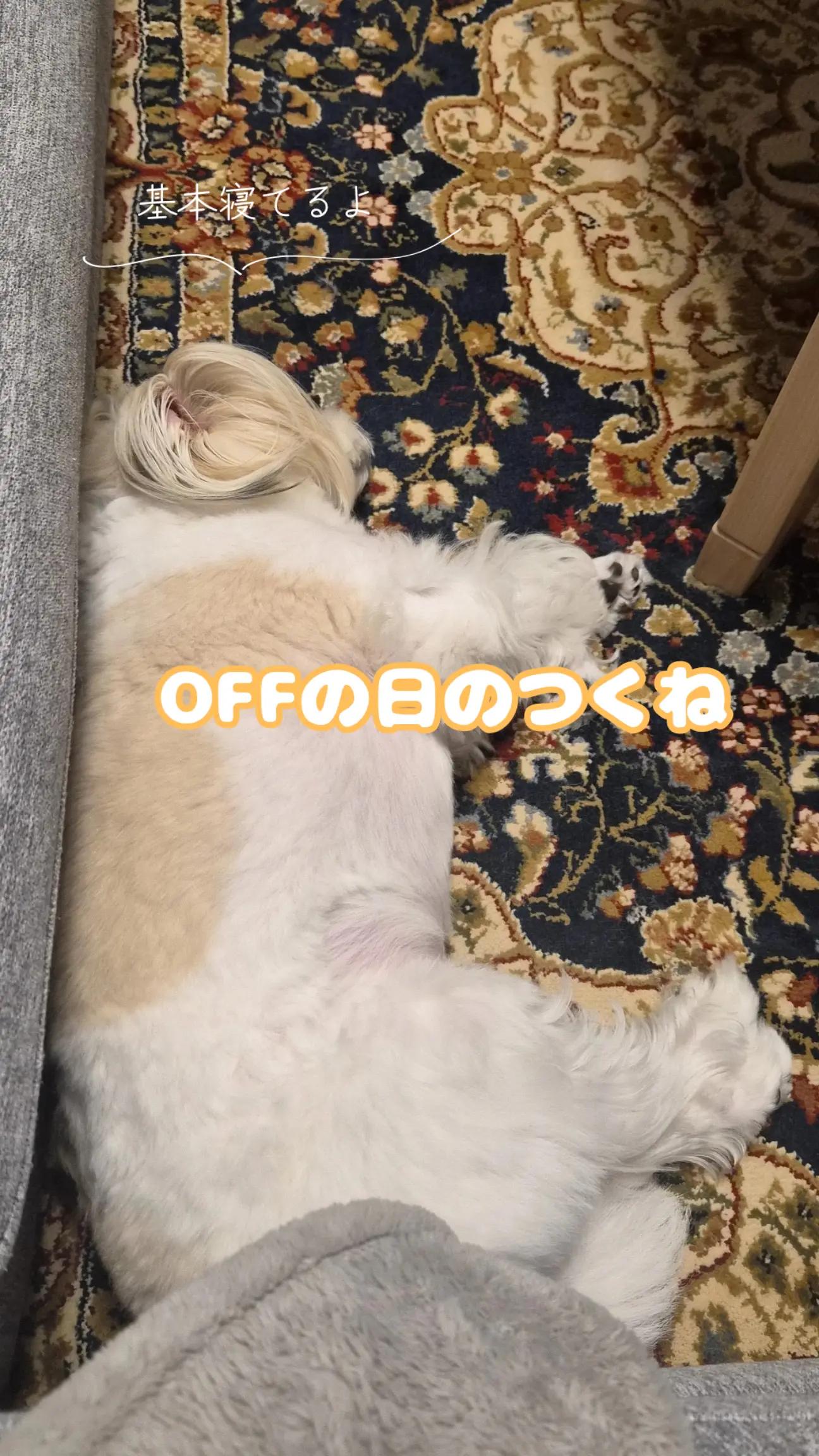 @つくねくん