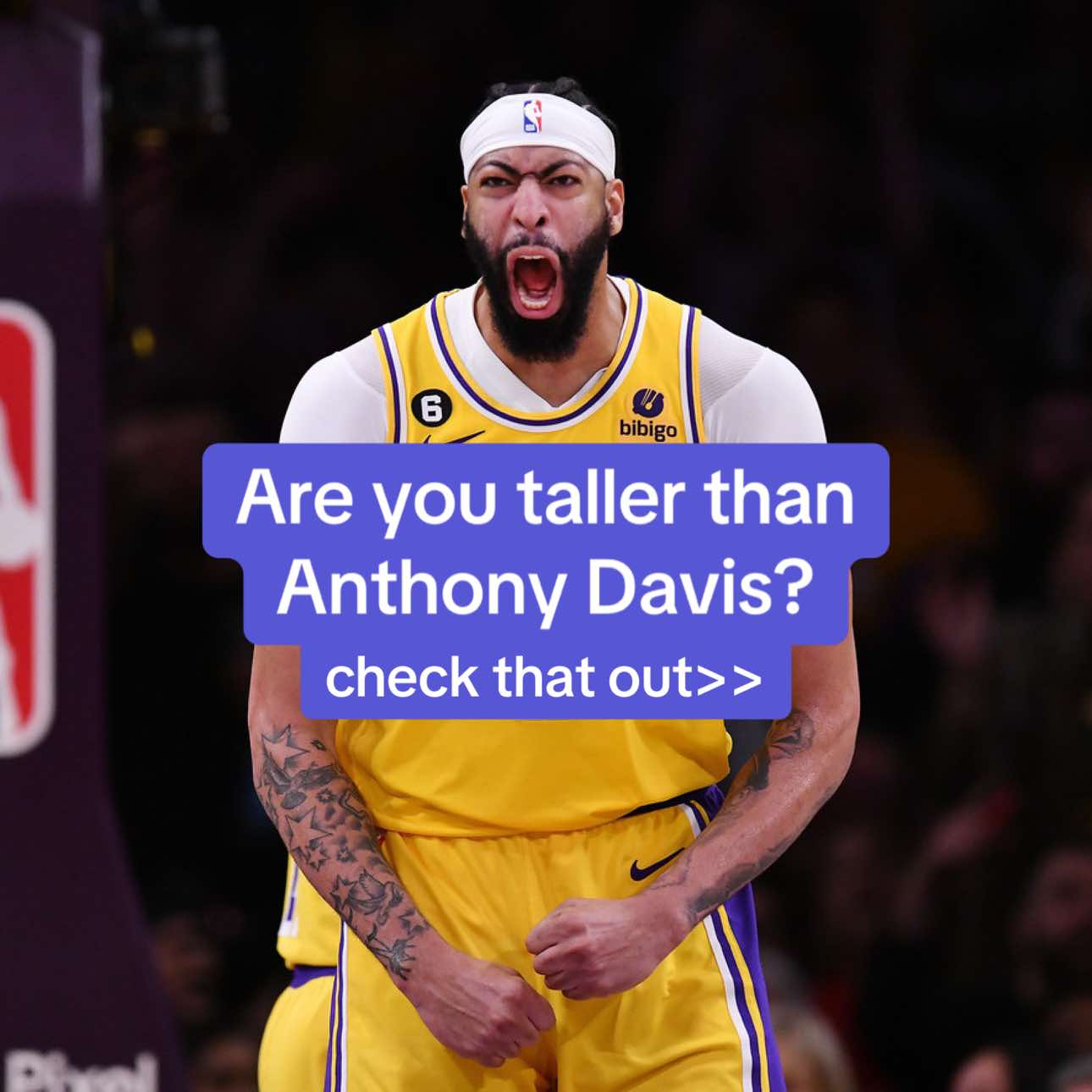 @HeightMax