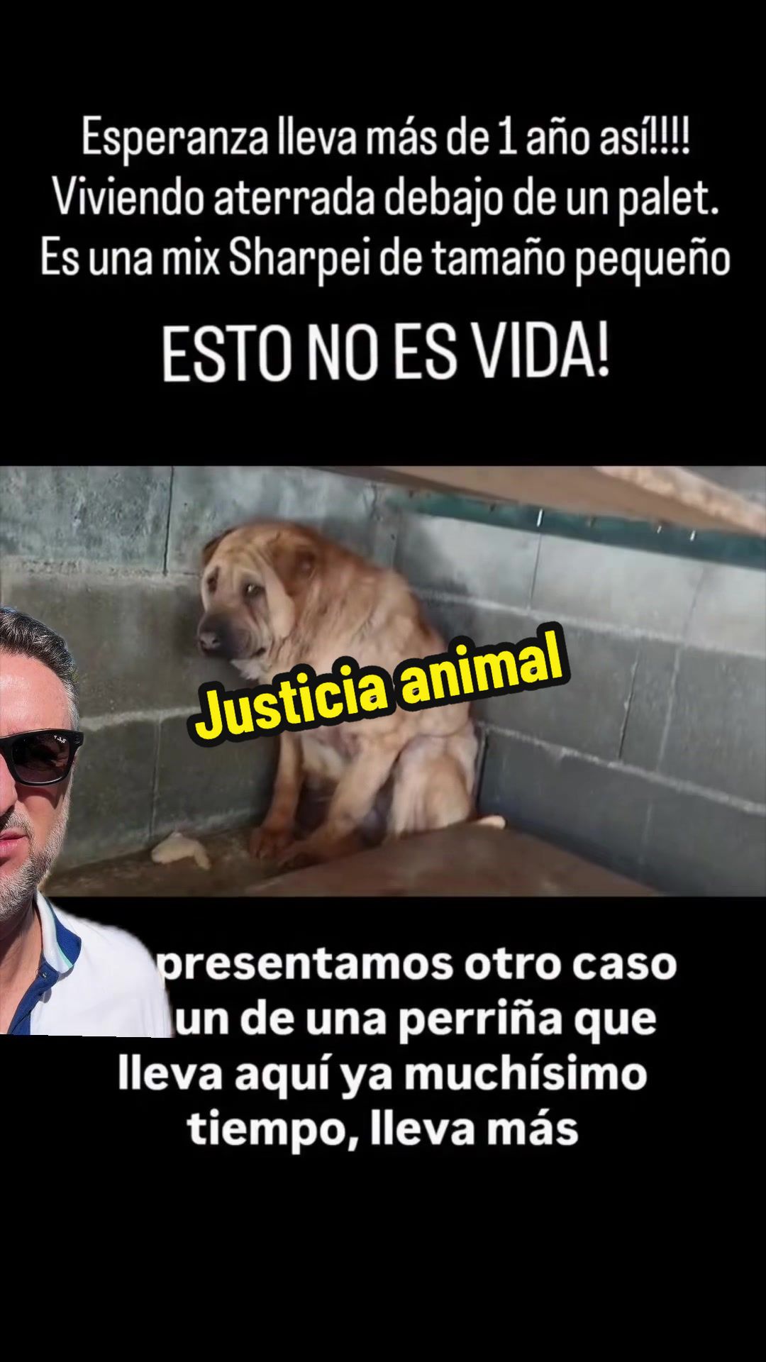 @🙋♂️ #elabogadodetiktok