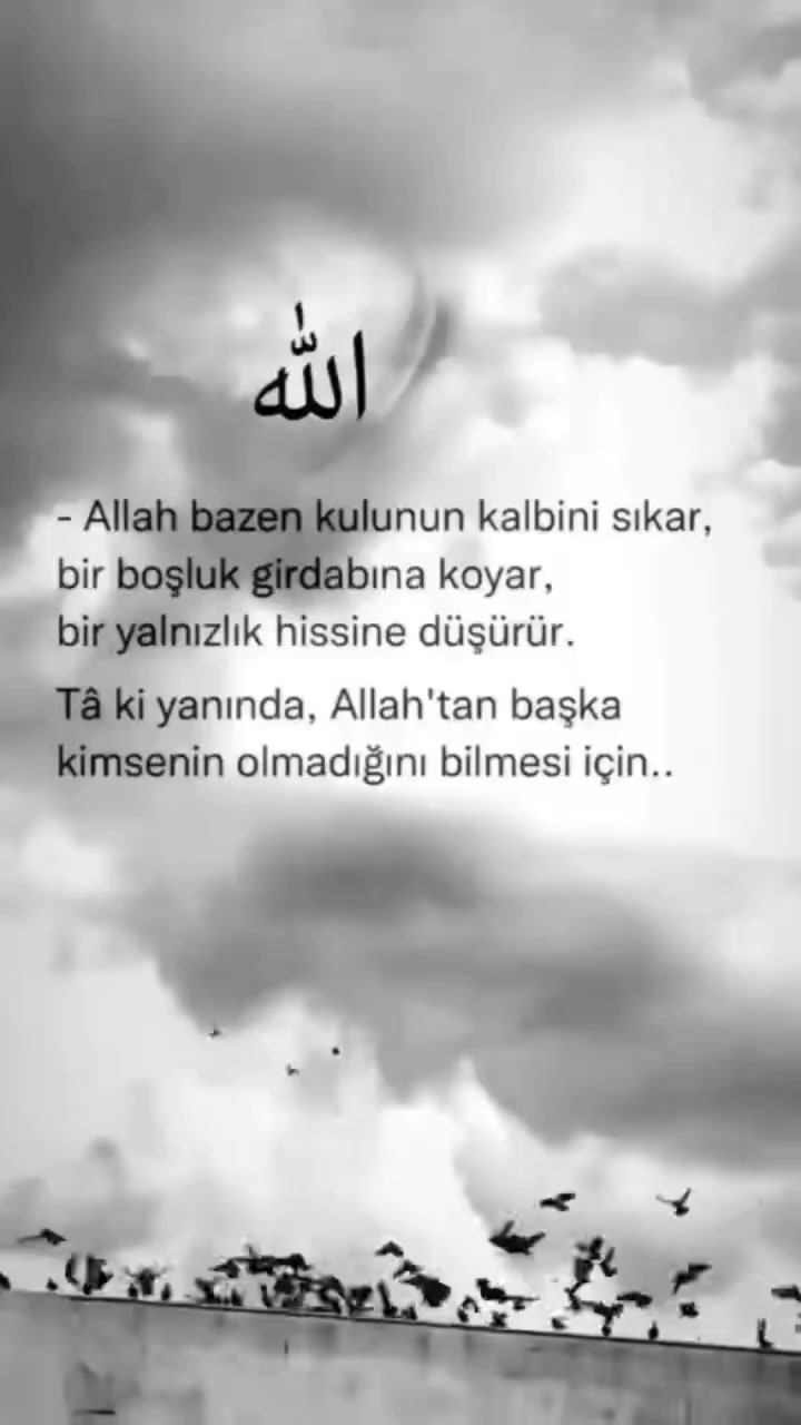 @CESUR YUREK CUNEYT 53.34