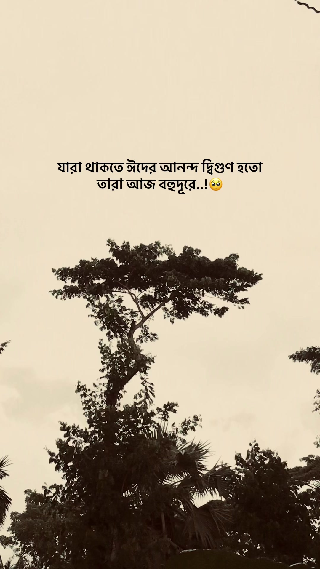 @the_spydoo🕸️ 🥏