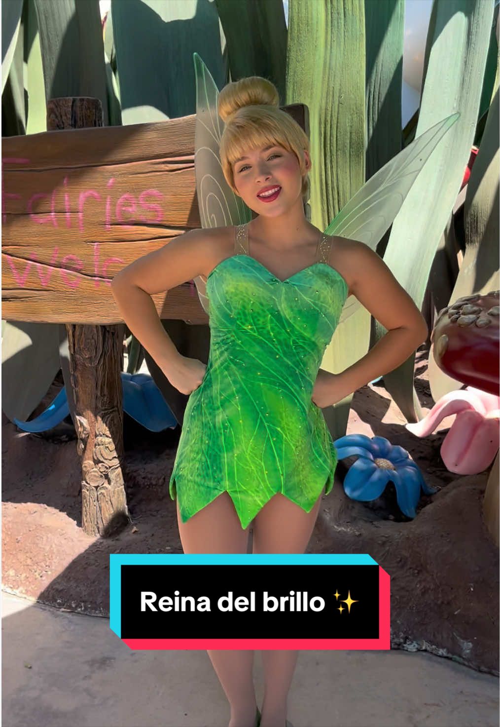 @En Disneylandia